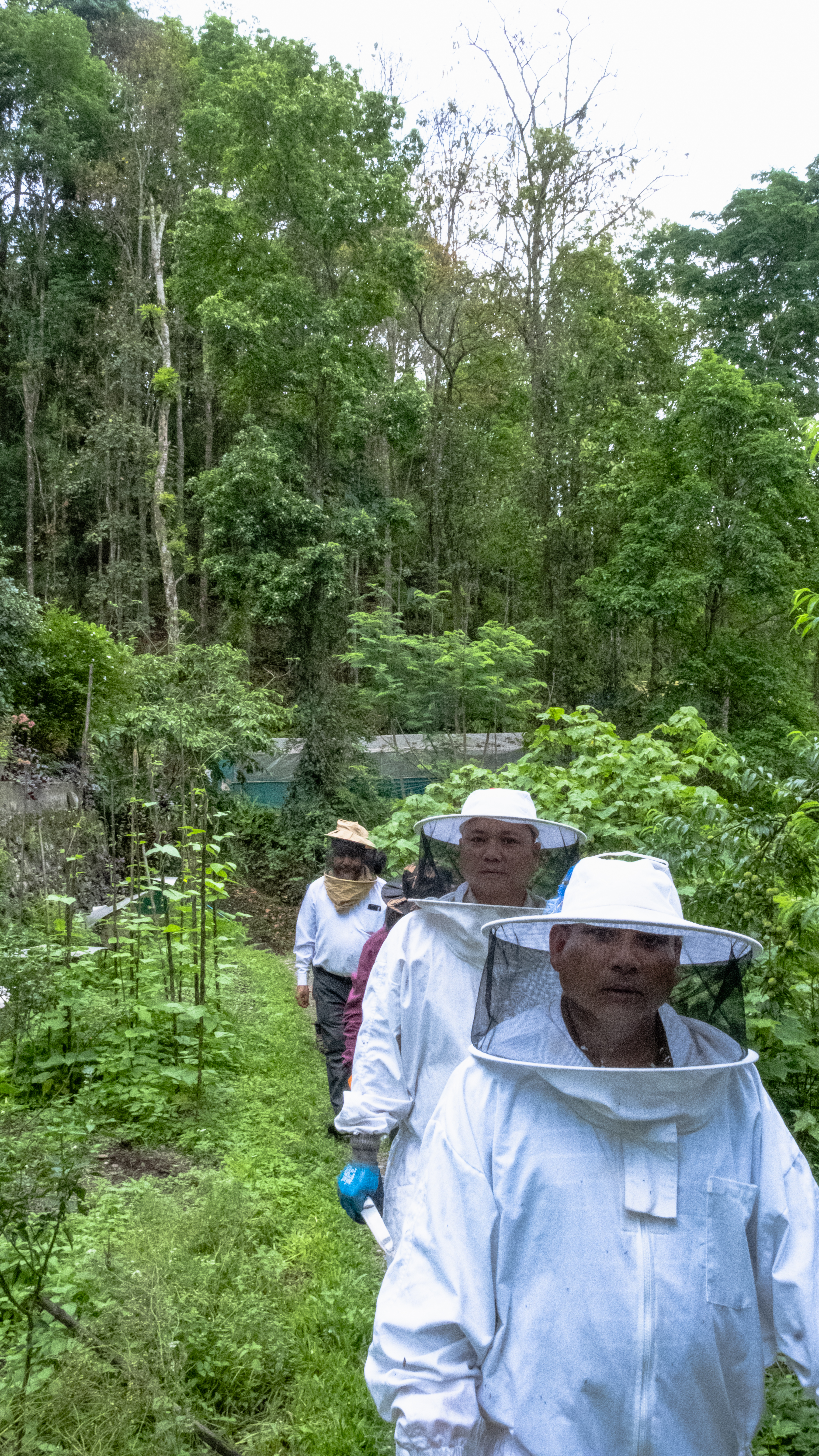 Hands-on hive training in Sikkim